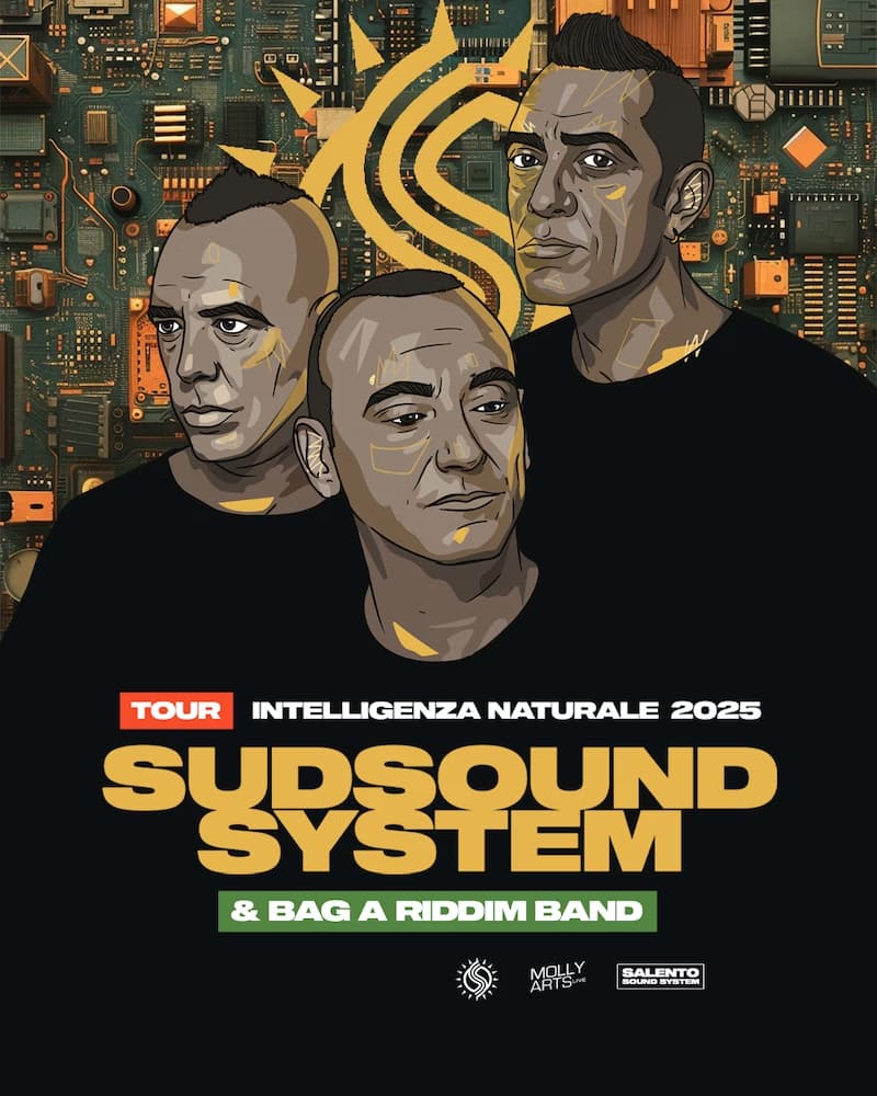 Vicoli Vivi - Sud Sound System - Intelligenza Naturale